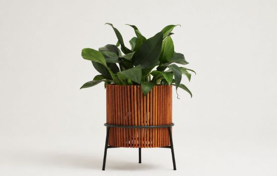 CACHEPOT MARUMBI P COM PLANTA